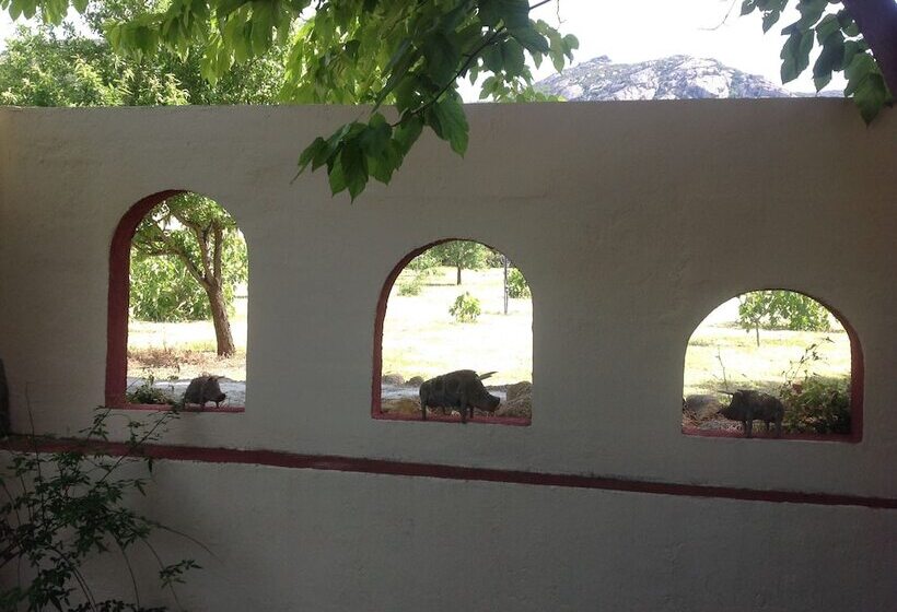 پانسیون Casa Di Floumy