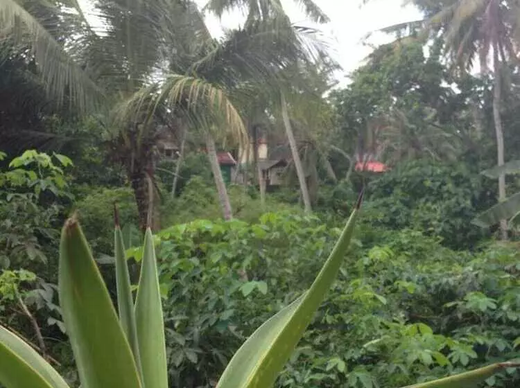ペンション Cebluk Sari Homestay