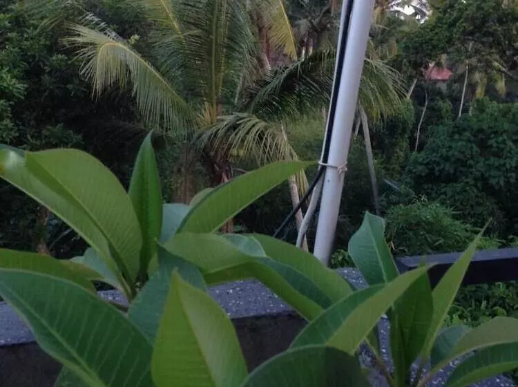 ペンション Cebluk Sari Homestay