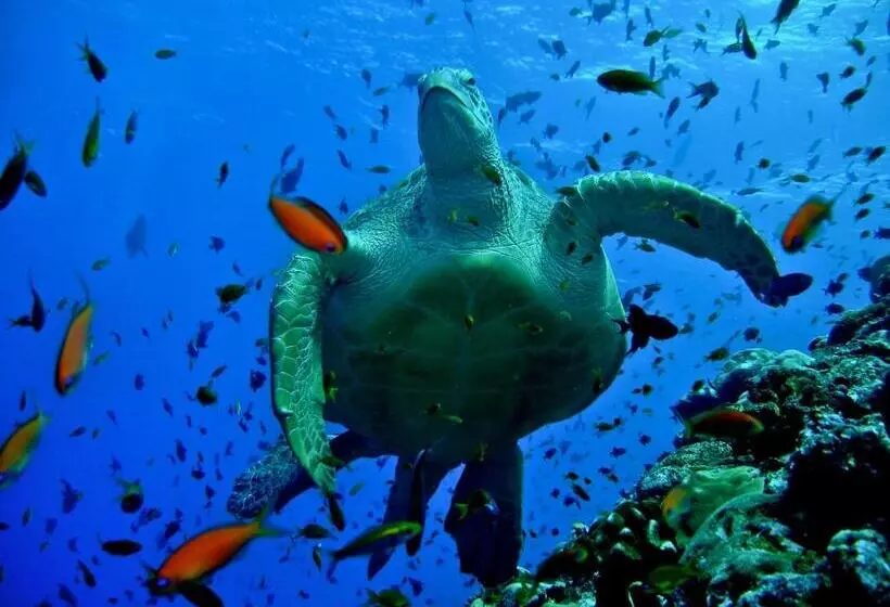 پانسیون Olhumathi View Inn