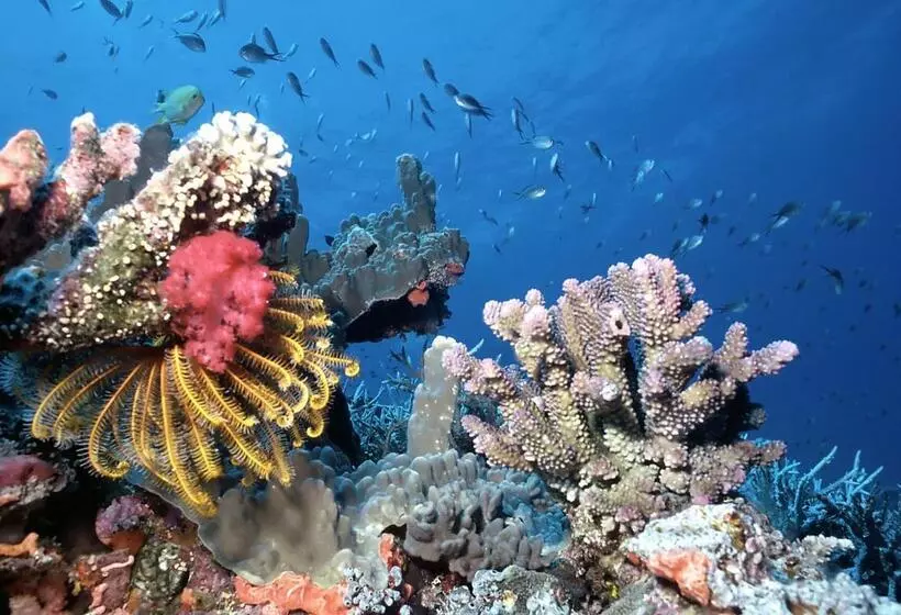 پانسیون Olhumathi View Inn