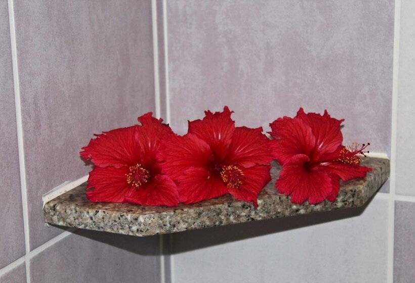 پانسیون Takamaka Green Village