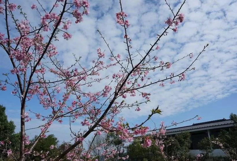 Sanyi Happiness B&b