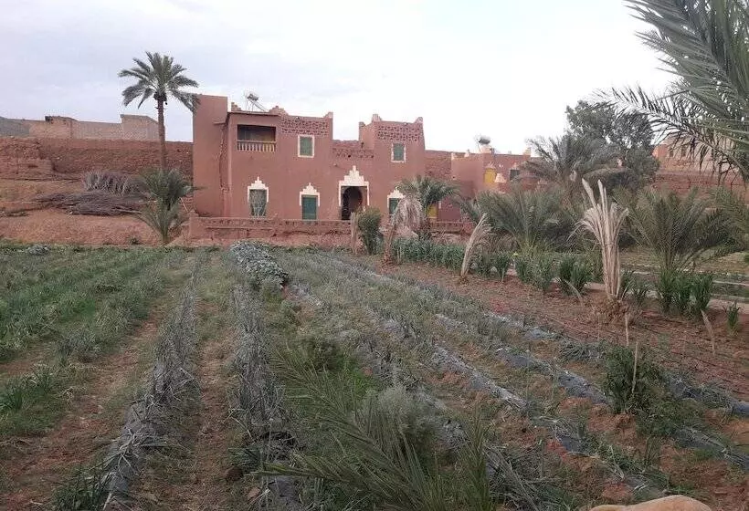 Hostel Jnane Dar Diafa Is In The Center Of Tamegrouteface Of The Bibiotheque