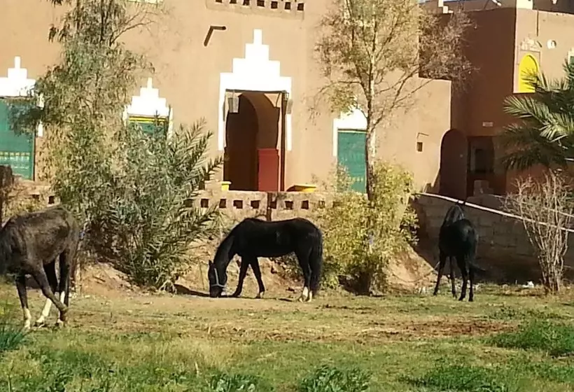 Hostel Jnane Dar Diafa Is In The Center Of Tamegrouteface Of The Bibiotheque