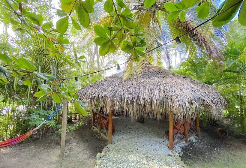 酒店 Ducassi Suites Rooftop Pool Beach Club & Spa