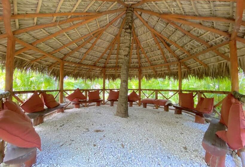 酒店 Ducassi Suites Rooftop Pool Beach Club & Spa