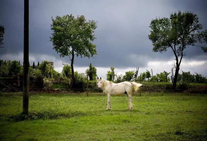 هتل Fattoria Casabianca