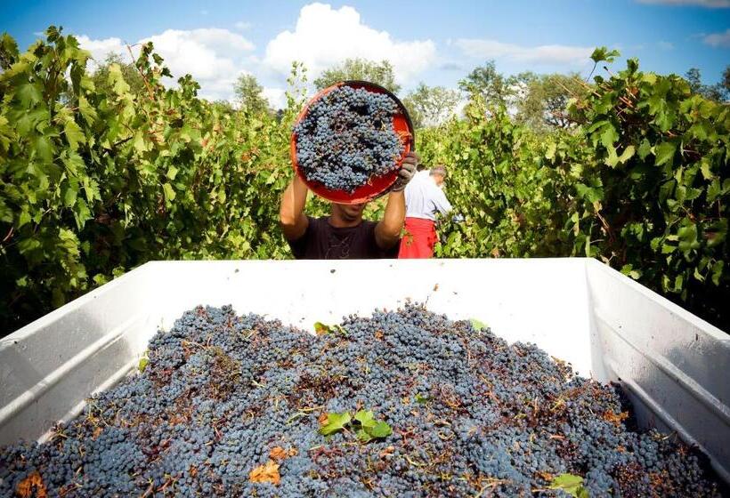 ホテル Fattoria Casabianca