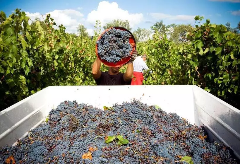 هتل Fattoria Casabianca