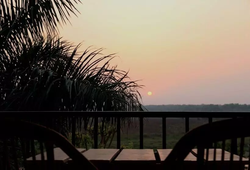 هتل Jungle Sunset Camp