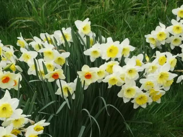 ペンション Chambres D Hôtes  Moulin Du Couedic