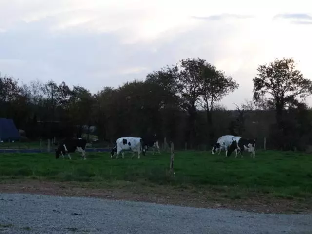 ペンション Chambres D Hôtes  Moulin Du Couedic