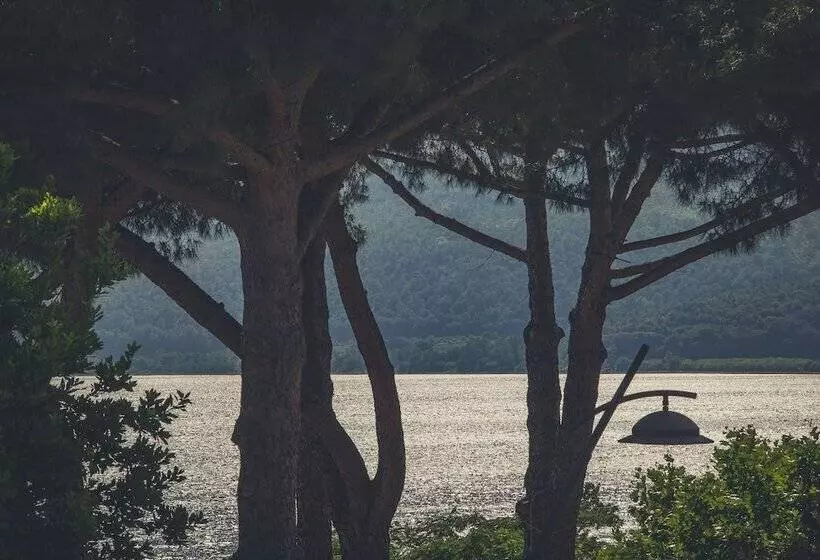 ペンション Malì Trevignano Piccolo