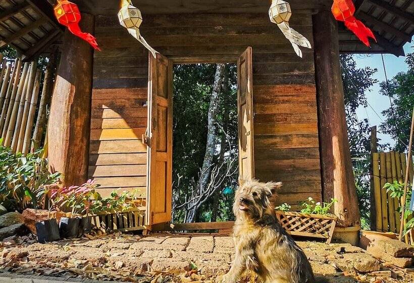 פנסיון Taloh Homestay Chiangmai