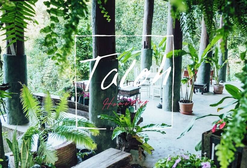 פנסיון Taloh Homestay Chiangmai