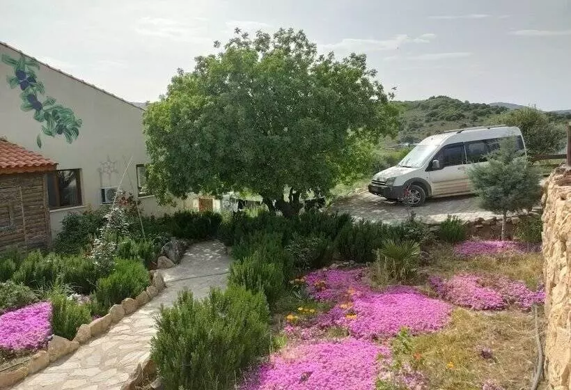 ユースホステル Delice Doğa Evi