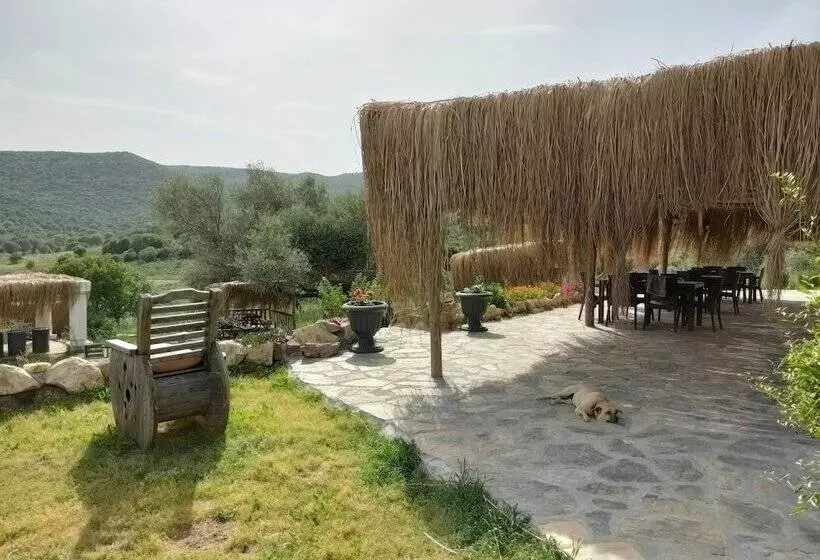 ユースホステル Delice Doğa Evi