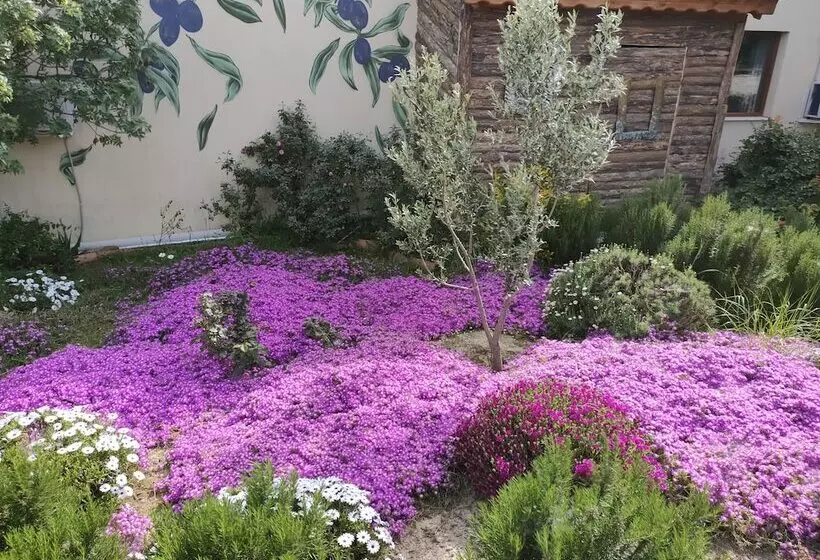 ユースホステル Delice Doğa Evi