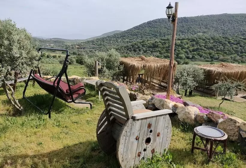 ユースホステル Delice Doğa Evi