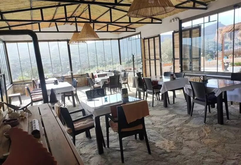 ユースホステル Delice Doğa Evi