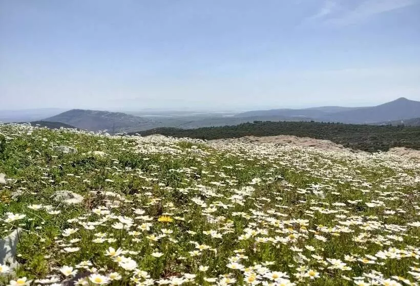 ユースホステル Delice Doğa Evi