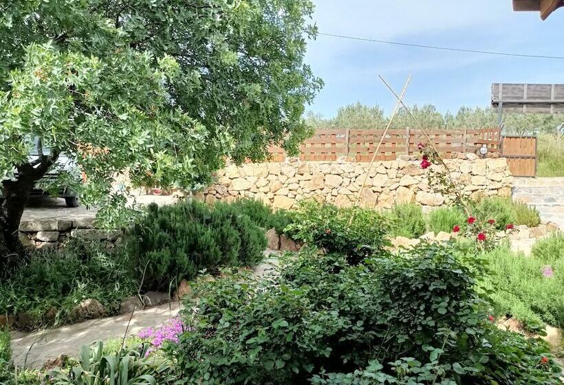 Ostello Delice Doğa Evi