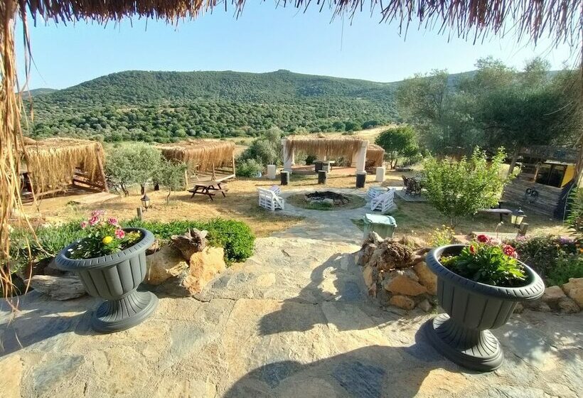 Ostello Delice Doğa Evi