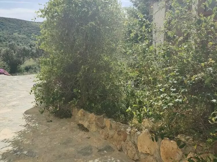 ユースホステル Delice Doğa Evi