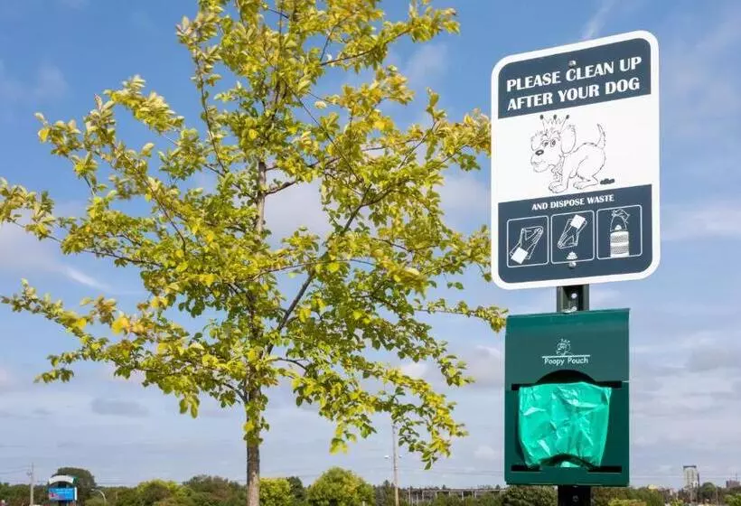 Hotelli Candlewood Suites   Rochester Mayo Clinic Area