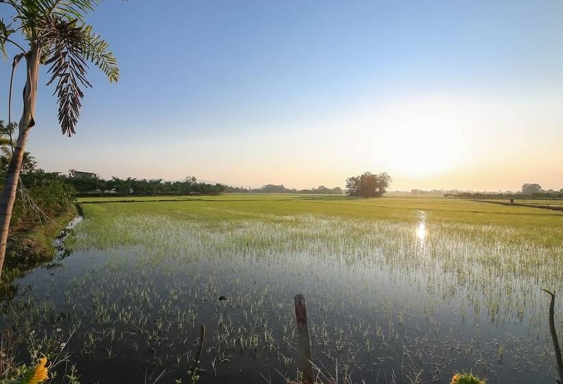 בית מלון כפרי Gym Bangarang Muay Thai And Fitness Resort