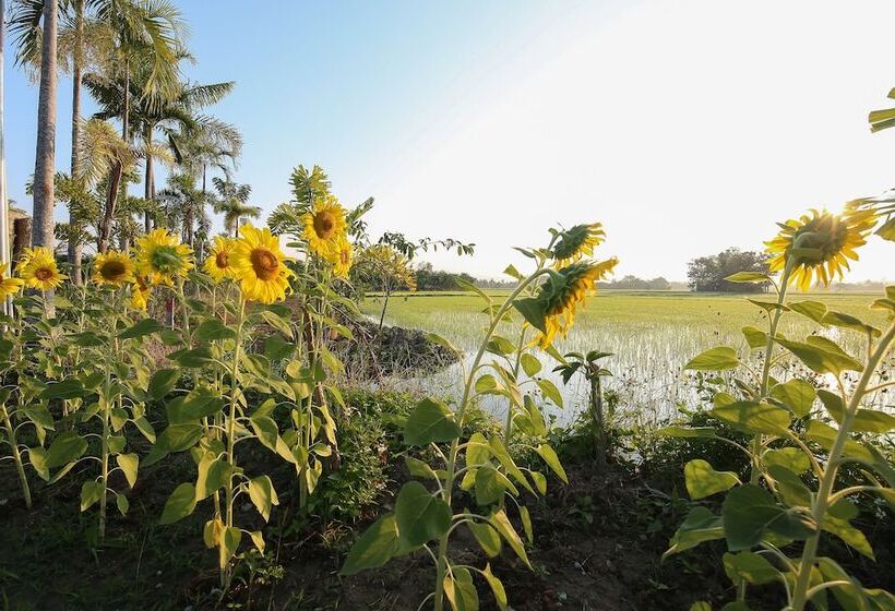 בית מלון כפרי Gym Bangarang Muay Thai And Fitness Resort