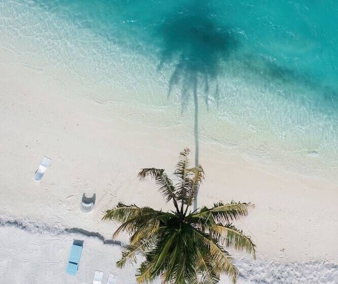 هتل Silver Oasis Maldives