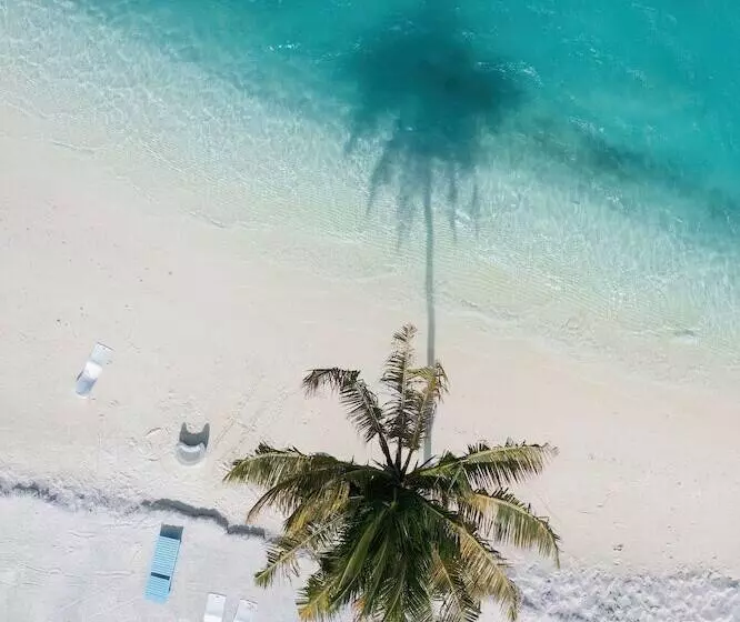 هتل Silver Oasis Maldives