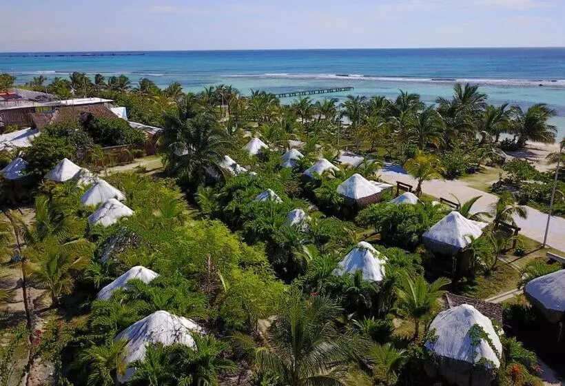 Eco Cabañas Bluekay