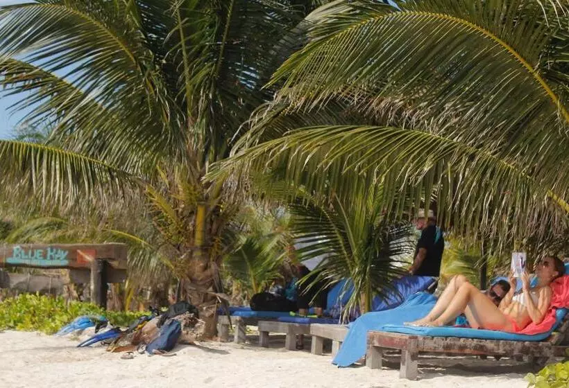 Eco Cabañas Bluekay