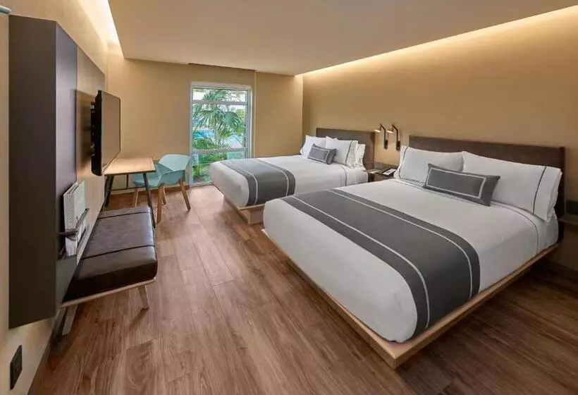 ホテル City Express Plus By Marriott Cancun Aeropuerto Riviera