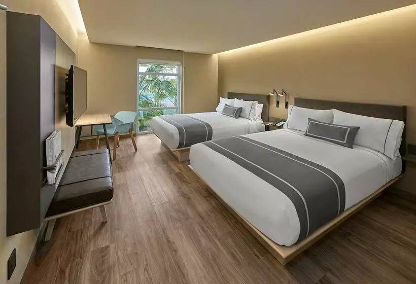 ホテル City Express Plus By Marriott Cancun Aeropuerto Riviera