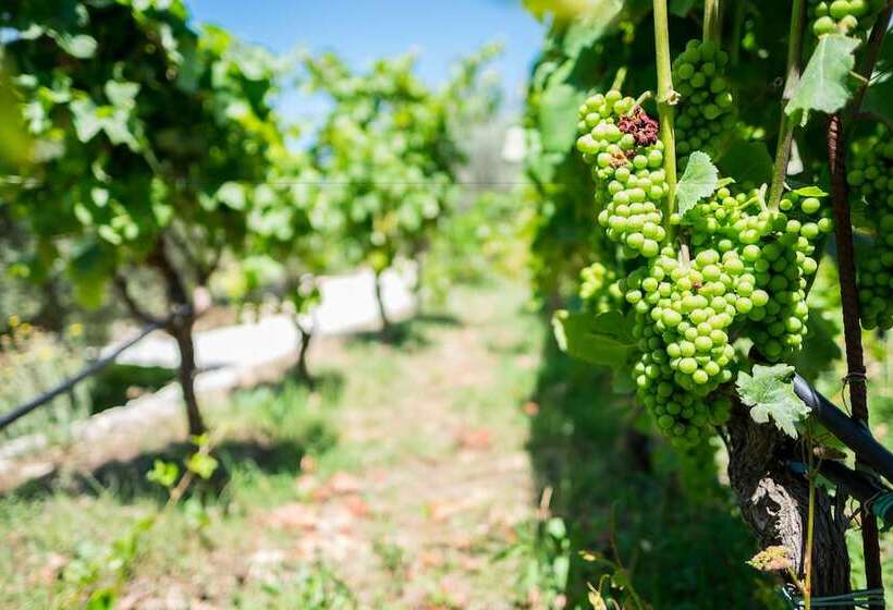 فندق Domus Hyblaea Resort