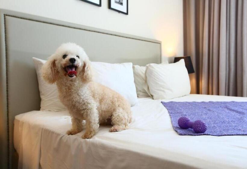 هتل Transamerica Executive Campos Dos Goytacazes