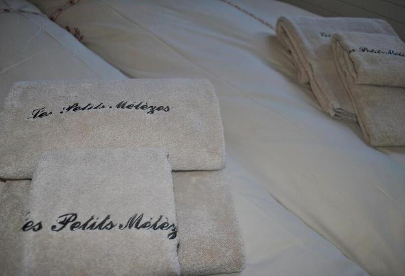 酒店 Les Petits Mélèzes