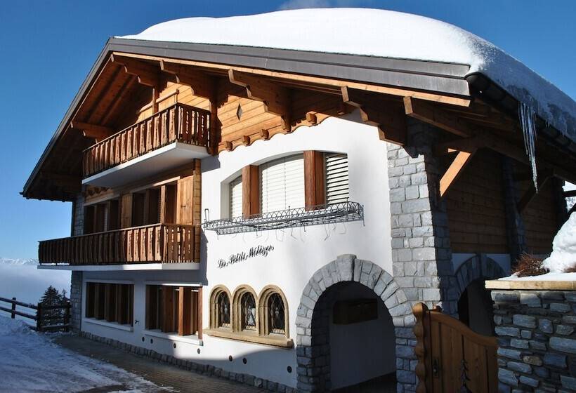 酒店 Les Petits Mélèzes