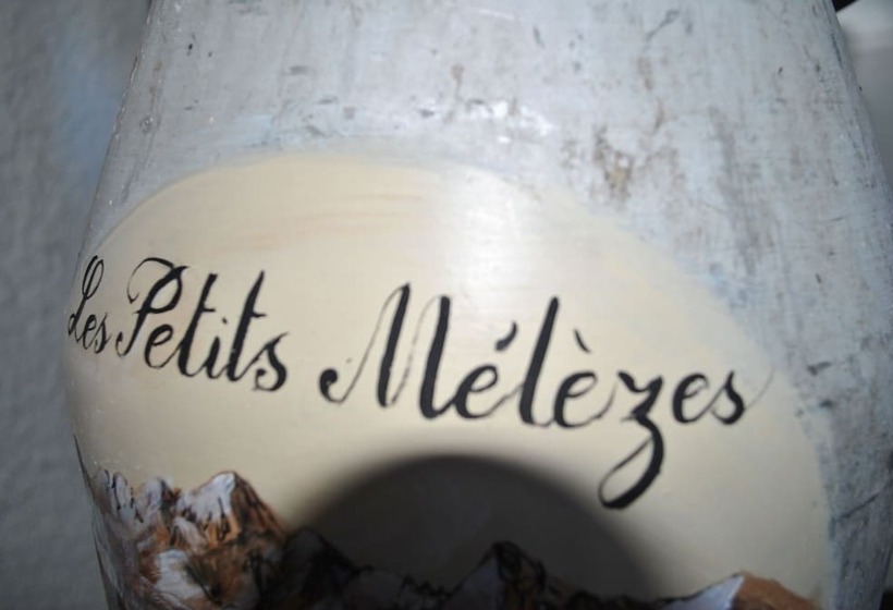 酒店 Les Petits Mélèzes