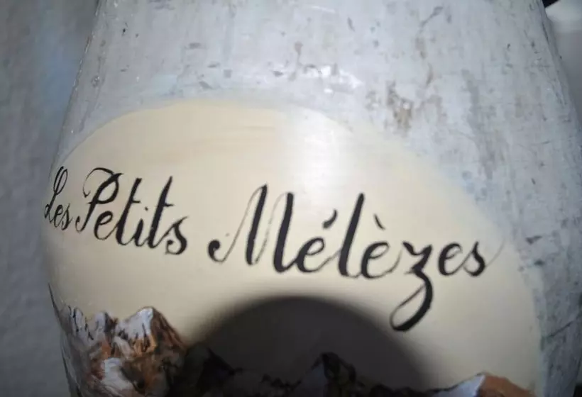 هتل Les Petits Mélèzes