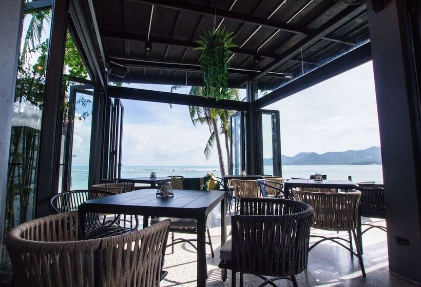 בית מלון כפרי Lub D Koh Samui Chaweng Beach   Beachfront & Vibrant Social Vibe