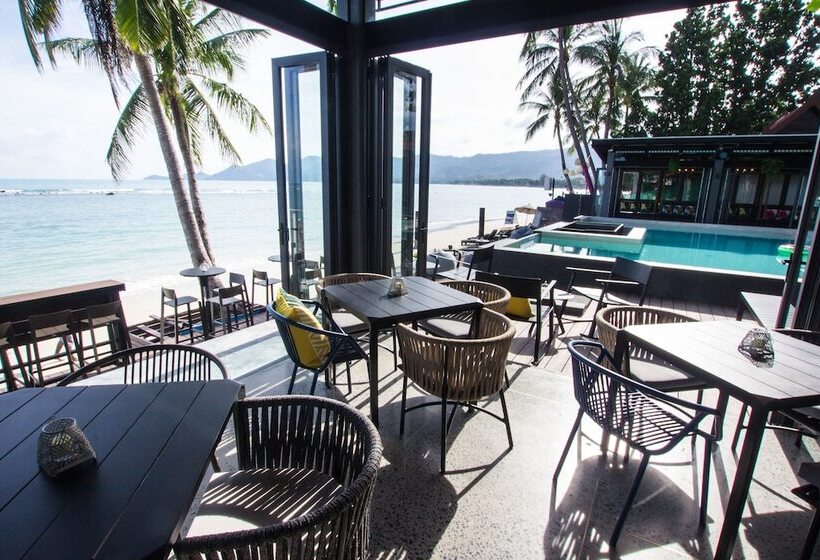 בית מלון כפרי Lub D Koh Samui Chaweng Beach   Beachfront & Vibrant Social Vibe