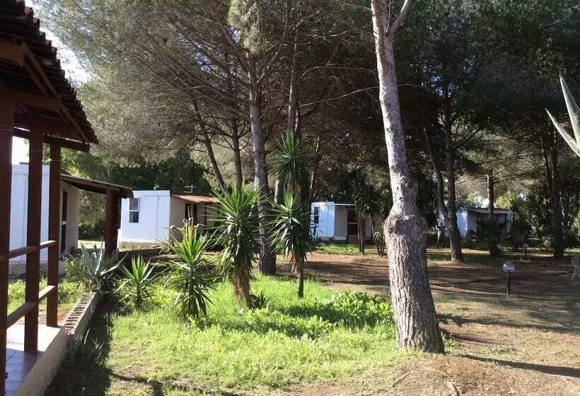 ホテル Residence Sa Pintadera