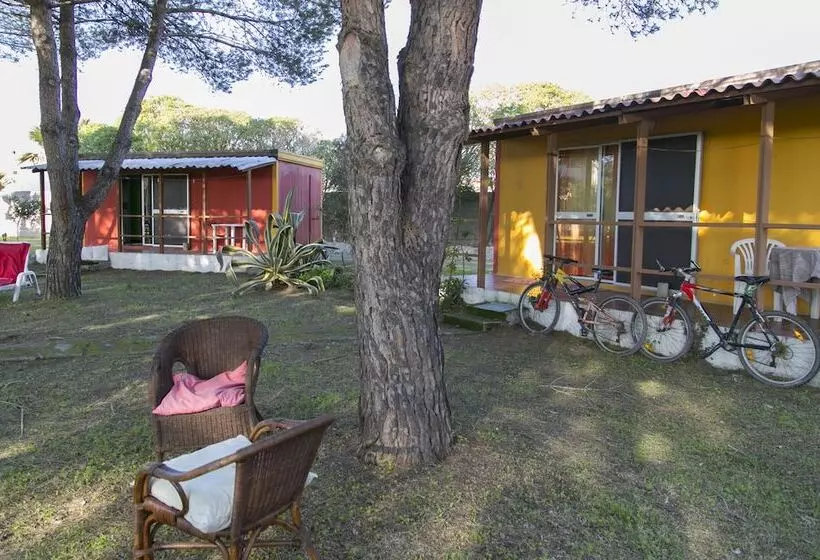 ホテル Residence Sa Pintadera