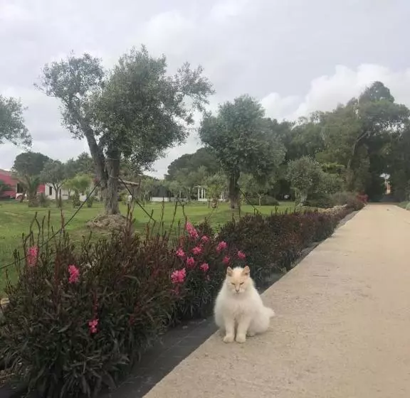 ホテル Residence Sa Pintadera