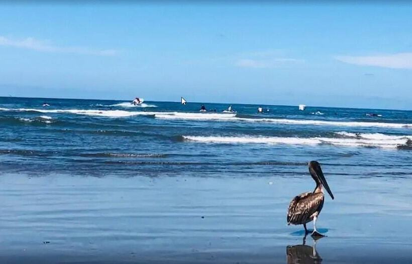 酒店 Ysuri Sayulita